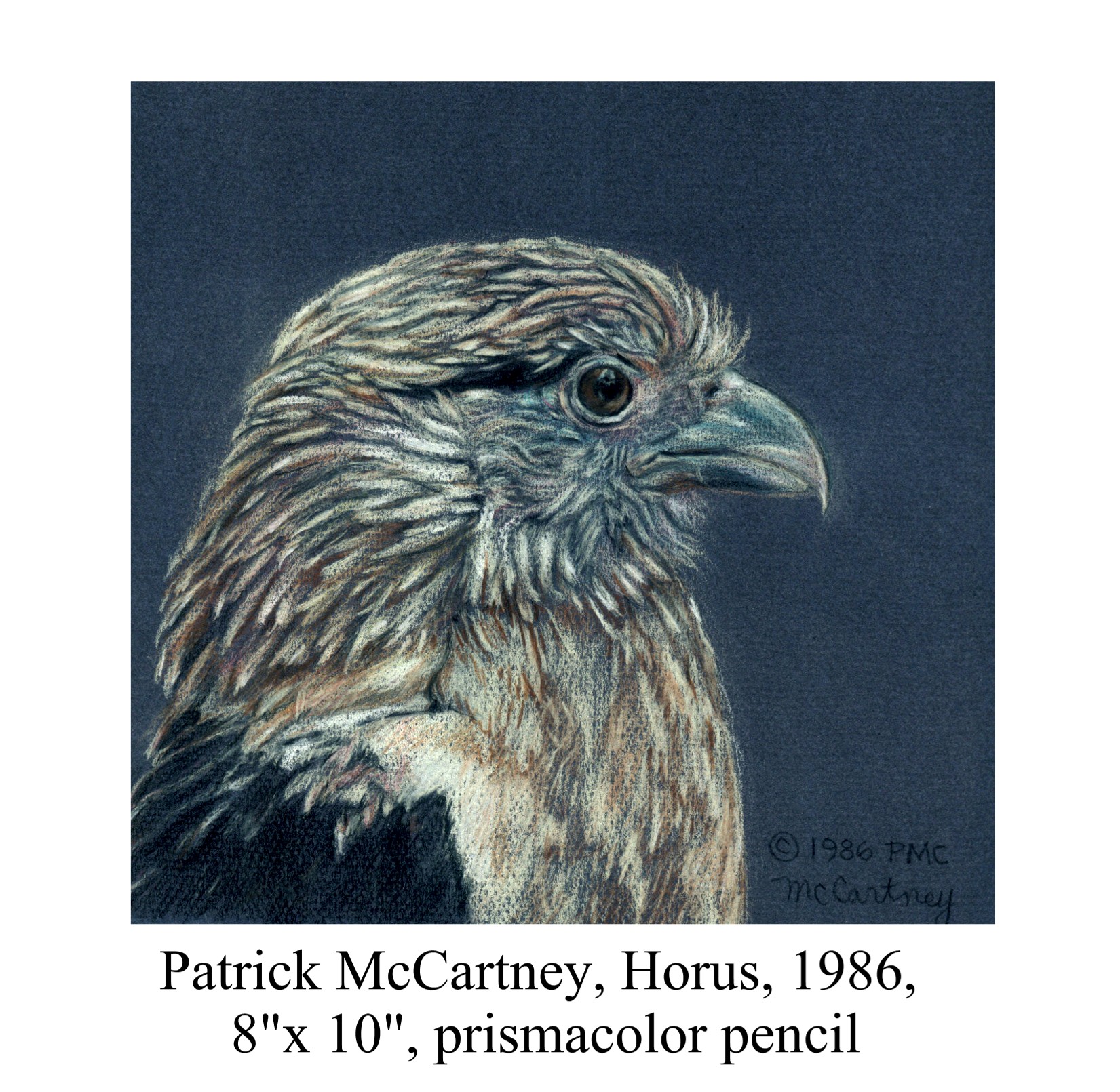 Horus by Patrick McCartney
