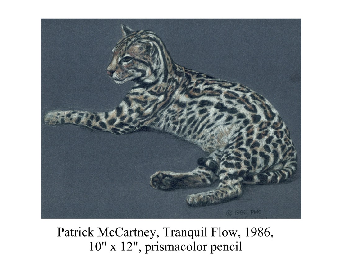 Tranquil Flow by Patrick McCartney