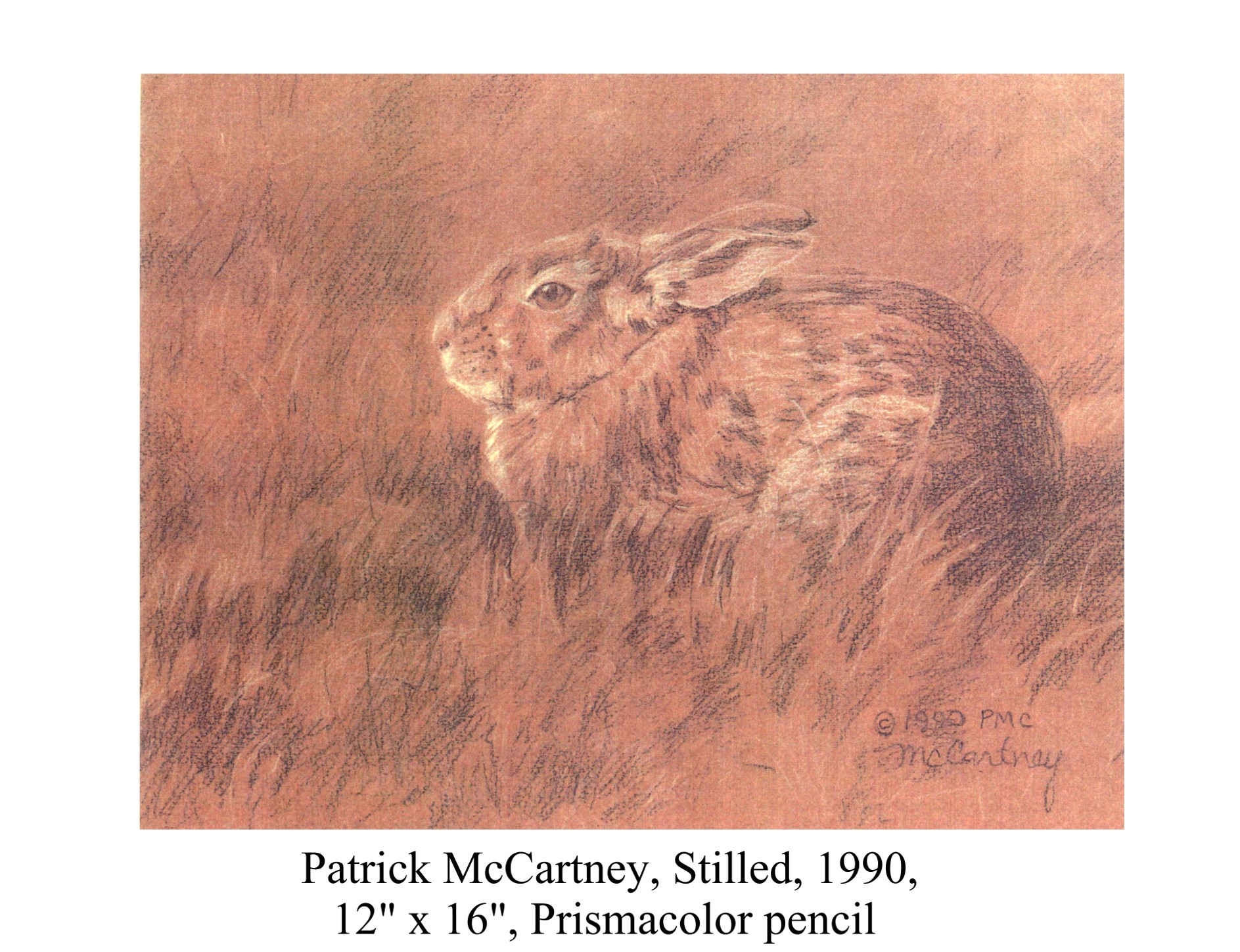 Stilled by Patrick McCartney