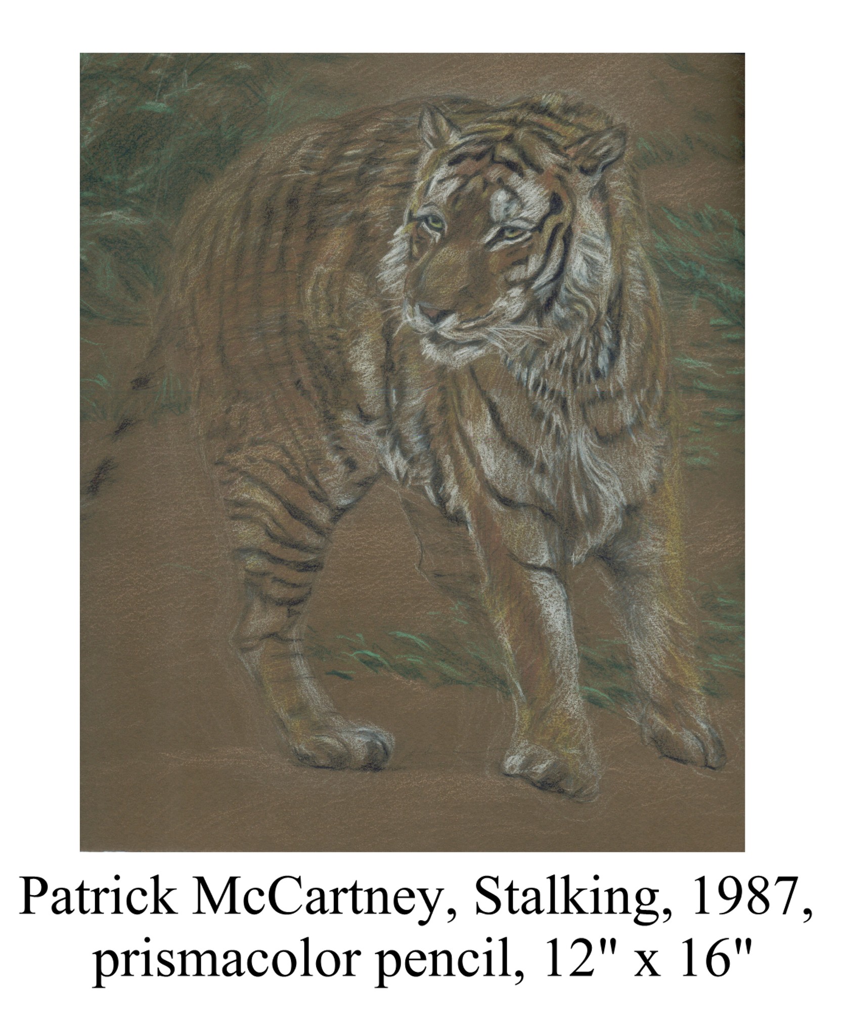Stalking by Patrick McCartney