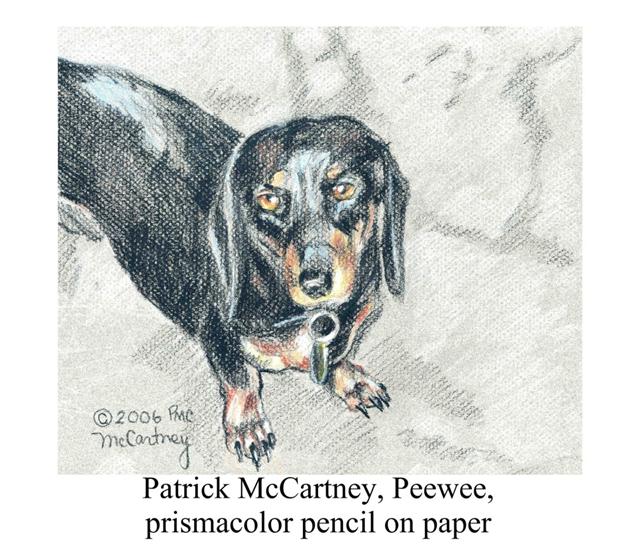 PeeWee by Patrick McCartney