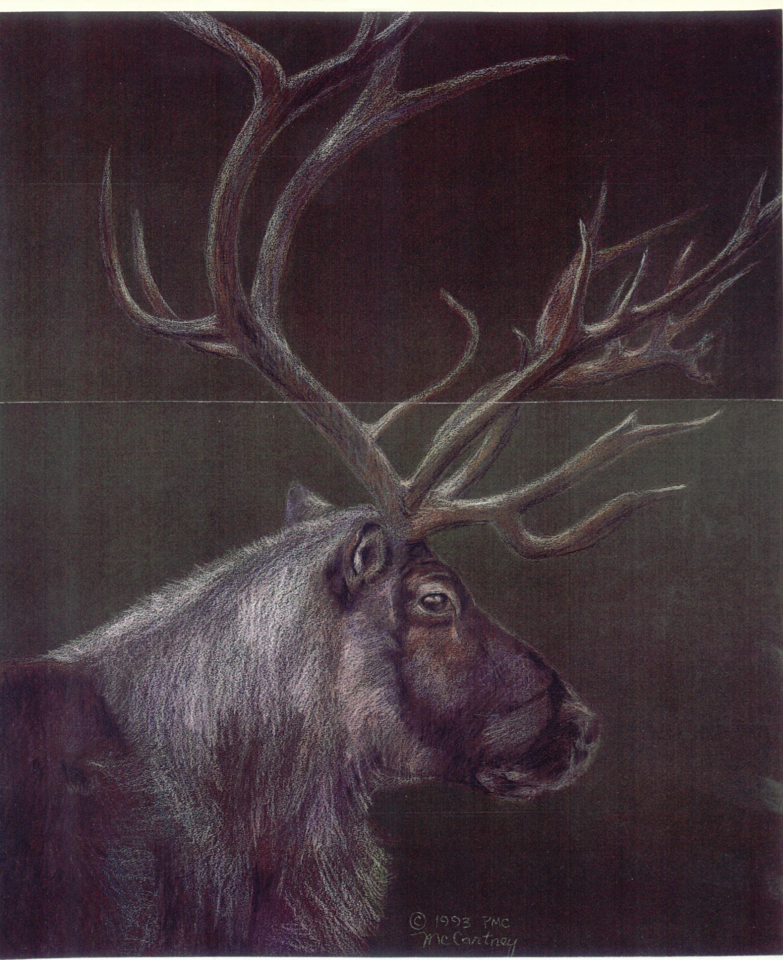 Reindeer #3 by Patrick McCartney