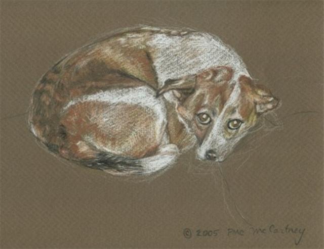 Mike Dog by Patrick McCartney